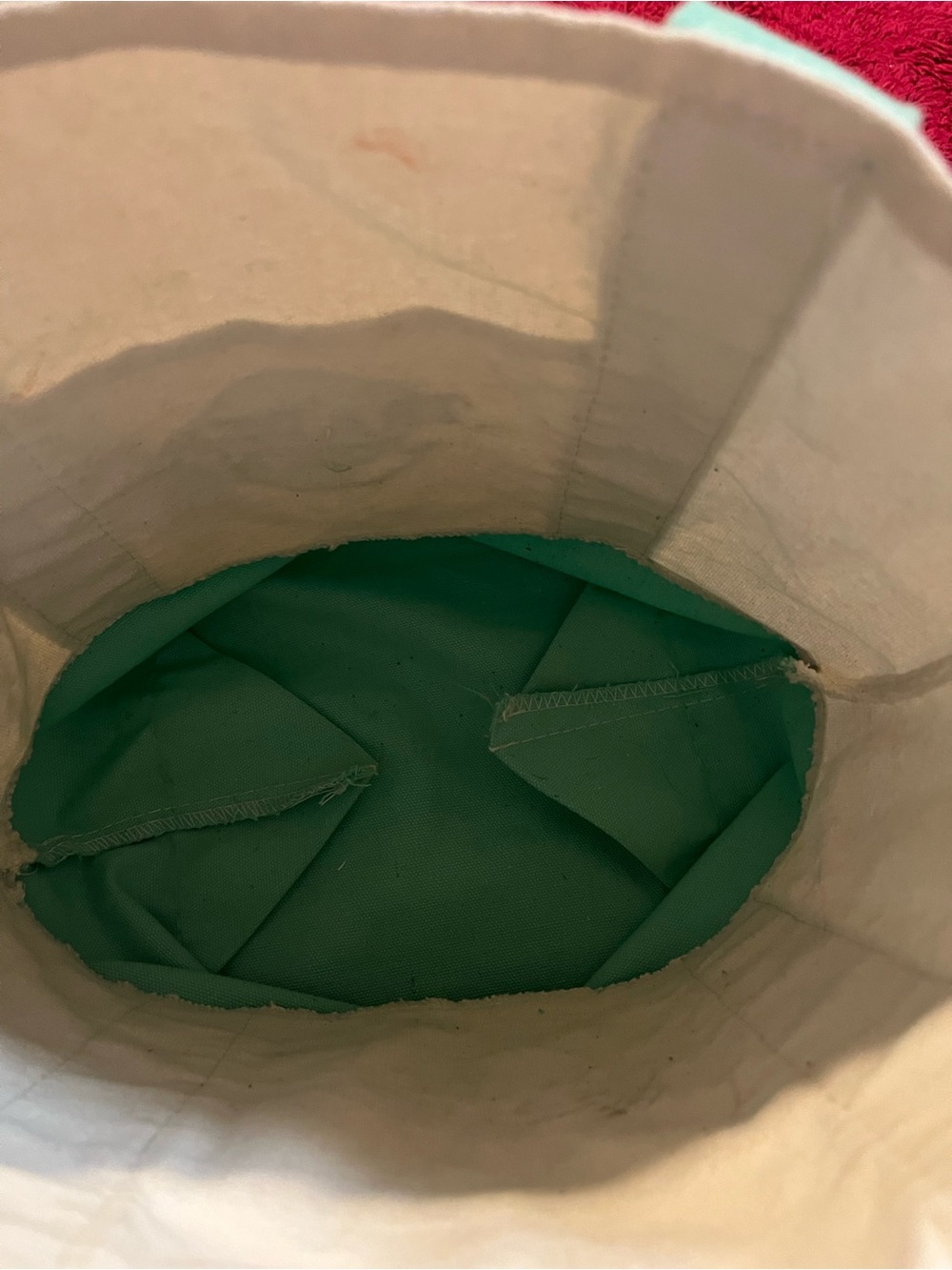Trader Joe’s Mini Canvas Tote/Lunch Bag Pastel Mint Green Natural Reusable 13” - Picture 6 of 10
